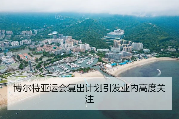 bo-er-te-ya-yun-hui-fu-chu-ji-hua-yin-fa-ye-nei-gao-du-guan-zhu-2-128.jpg