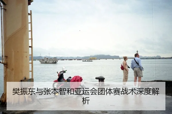 樊振东与张本智和亚运会团体赛战术深度解析